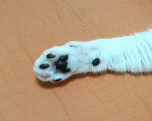 �˂�����