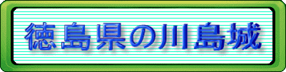 徳島県の川島城