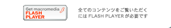 Flashリンク