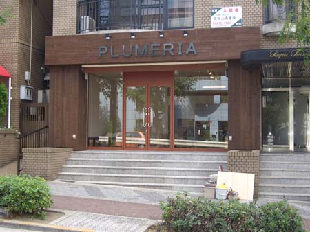 plumeria6.jpg