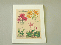 ���^�[�Z�b�g