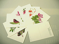 �|�X�g�J�[�h