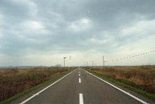 �����X�V�Q����