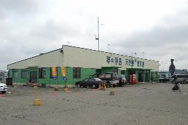 �H�y�`�t�F���[�^�[�~�i��