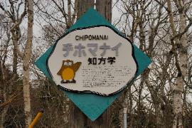 �m���w�i���ۂ܂Ȃ��j