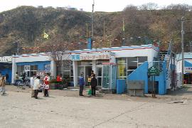 �V���`�t�F���[�^�[�~�i��