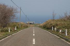 �����T�S�W����