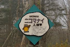 �����w�i�ɂ��܂Ȃ��j