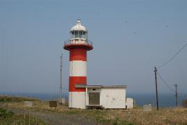 �V������