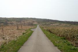 �����T�S�W����