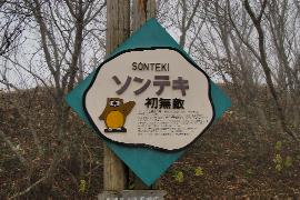 �����G�i����Ă��j