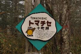 �\�����i�Ƃ܂����j