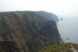 �ω���W�]�䂩��̒���