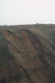 �n�[�g�^�̎Ζ�