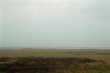 ���T���x�c���쉀�n�i�p���P���j