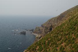 �Ԋ�W�]�䂩��̒���