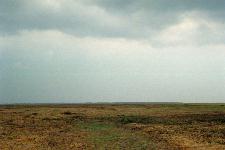 �T���x�c�����ԉ�