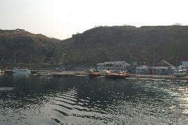 �V���`���o�`