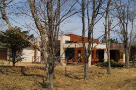 �A�C�J�b�v���R�j������