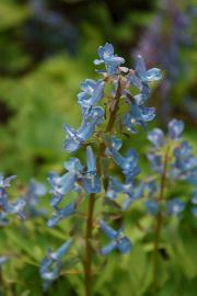 �G�]�G���S�T�N