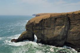 �ܖ��i�����̗܁j