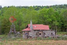 ���ܘY�̐΂̉�