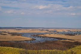 �����z����