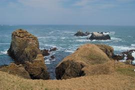 �������i�����z���j