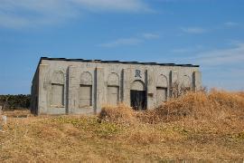 ���Ζ����d�M�ǐ�