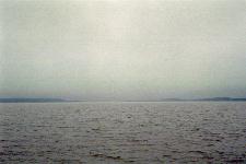 �N�b�`������