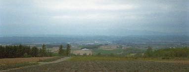 �[���W�]�䂩��̒���