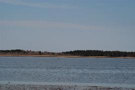 ���@�΁i�t���Ёj