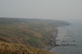 �ĐK����C��