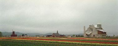 ��N�ʃ`���[���b�v����