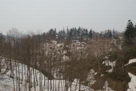 ����������̒���