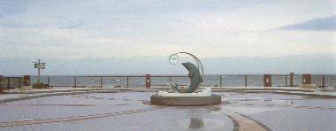 �m�V���b�v��