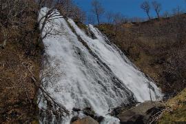 �I�V���R�V���̑�