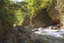 ���ʐ�̊��