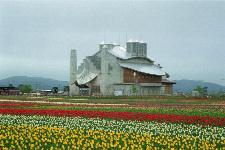 ��N�ʃ`���[���b�v����