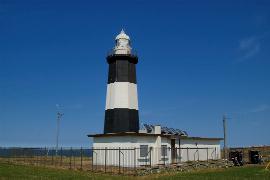 �\�斦����