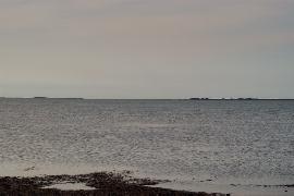 �T���}�΁i�L���A�l�b�v�����j