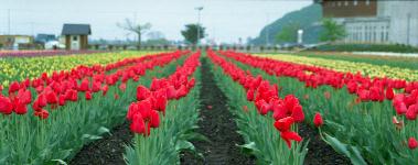 ���Ƃ��������ŊJ�ԁA���J���ȁE�E�E�B