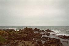 �E�X�^�C�x�� ����