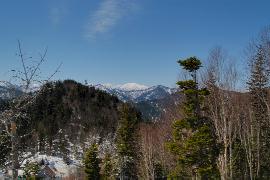 �Ζk������̒���