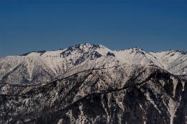 �j�Z�C�J�E�V���b�y�R�i���j�ƒ��z�R�i��O�j