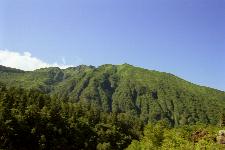 �\���x���򂩂�̒���