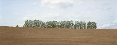 �}�C���h�Z�u���̋u