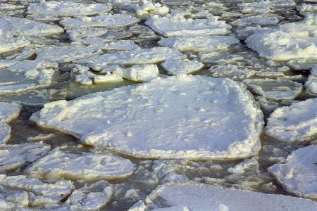 ���X(20020210)