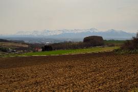 �납��̒���