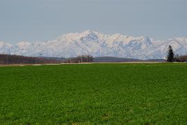 ���ʊx�i�x�u���j